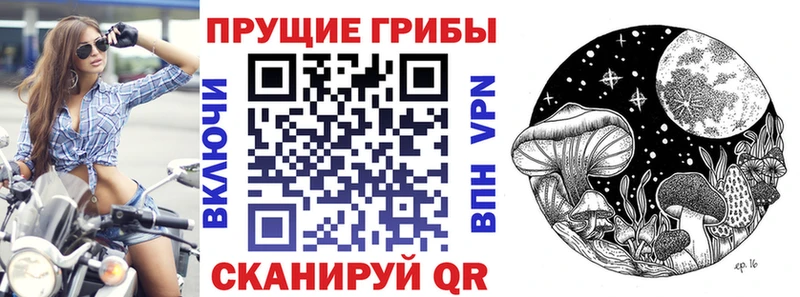 Галлюциногенные грибы мицелий  Купить  Староминская 